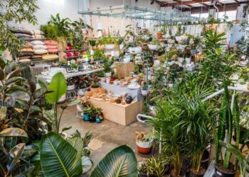 Xây dựng cảnh quan Lê Khoa