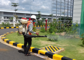 công ty diệt côn trùng Hải Phòng