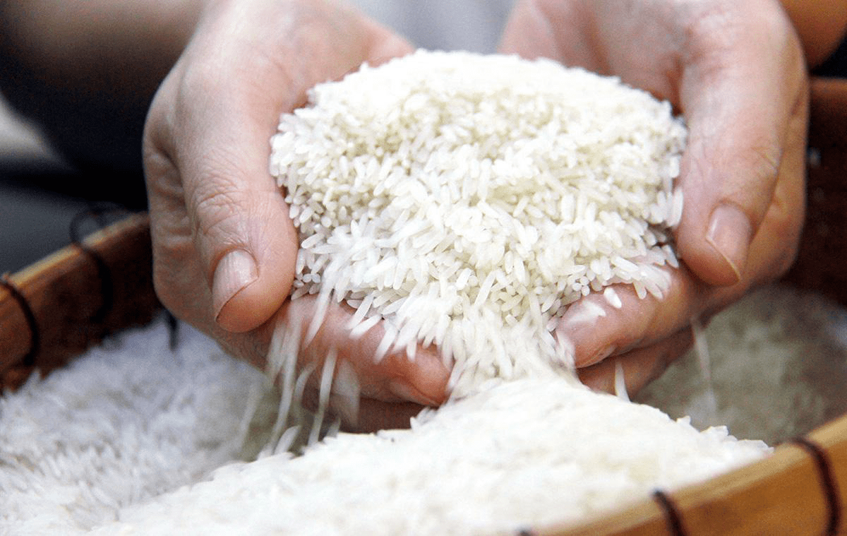 Đại Lý Gạo TPHCM Alogao