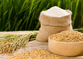 Đại Lý Gạo TPHCM