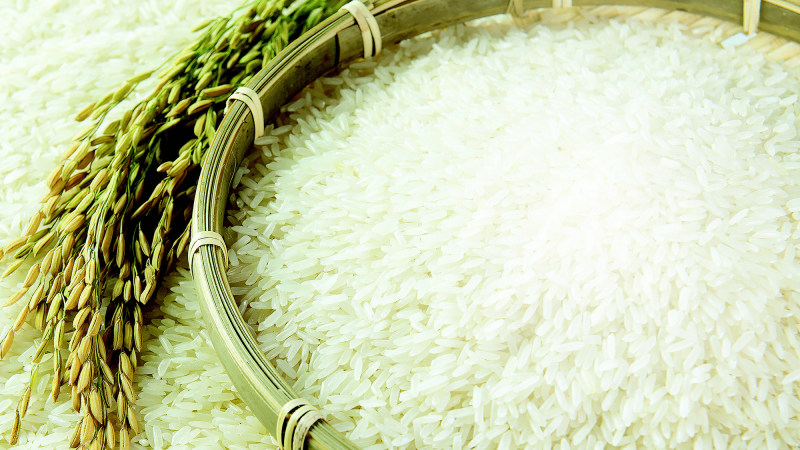 Đại Lý Gạo TPHCM Hoa Lúa