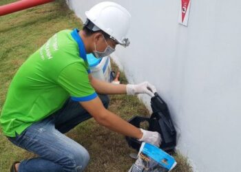 diệt mối tận gốc tại tphcm