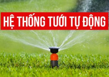Hệ thống tưới Hải Phòng