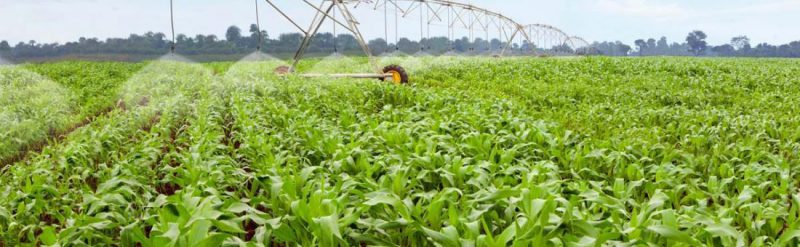 Hệ thống tưới Hải Phòng Công Ty TNHH Cekool
