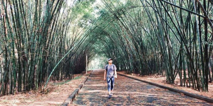 khu du lịch sinh thái bình dương Làng tre Phú An - Địa Điểm Du Lịch Đẹp Nhất Bình Dương