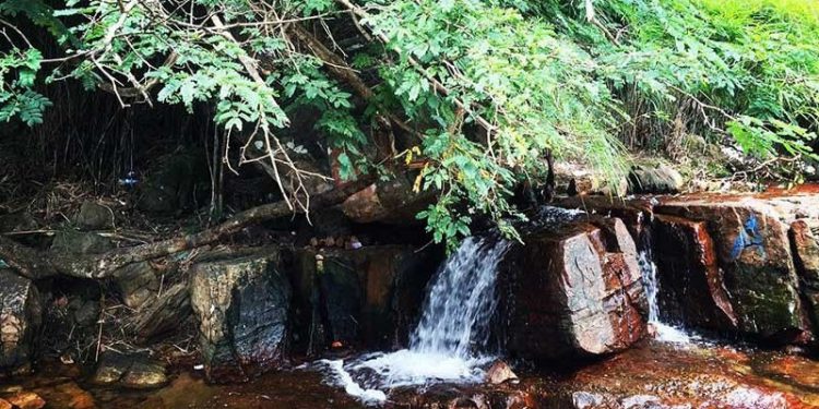 khu du lịch sinh thái bình dương Suối Trúc - Địa Điểm Du Lịch Hấp Dẫn