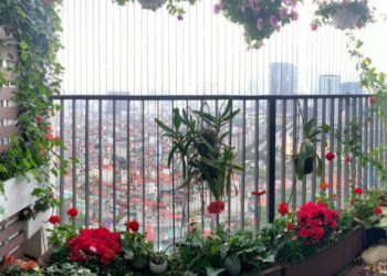 lưới an toàn ban công Hải Phòng