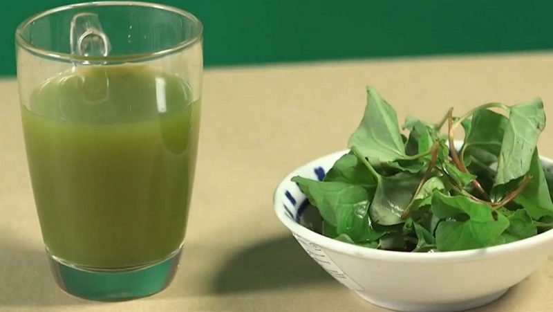 Bột diếp cá