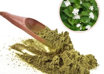 Mua bột diếp cá Đà Nẵng