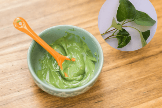 Bột diếp cá