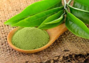 Bột trà xanh mua ở đâu đà nẵng