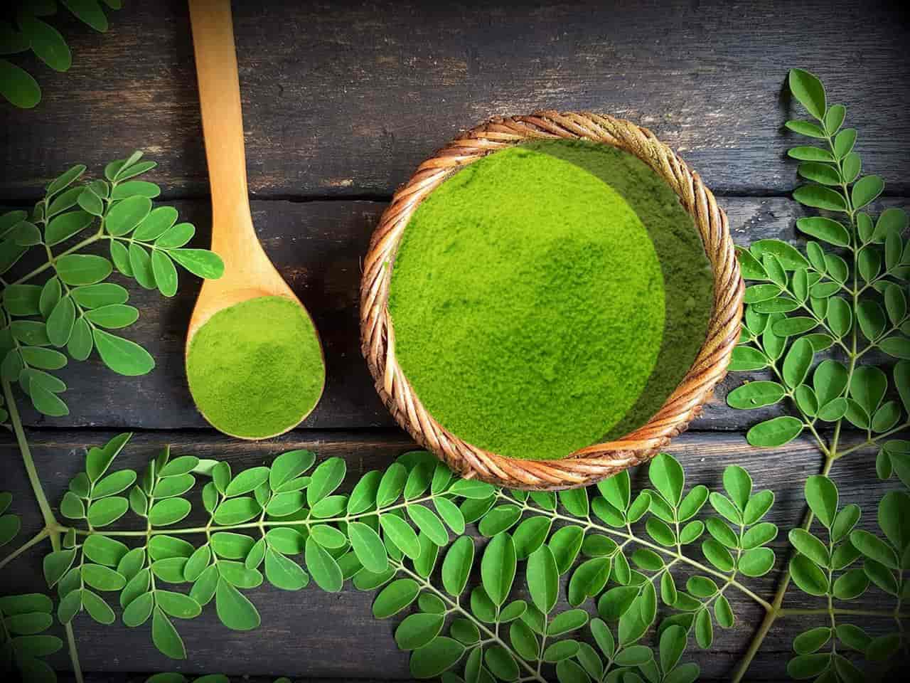 Cách Uống Bột Chùm Ngây
