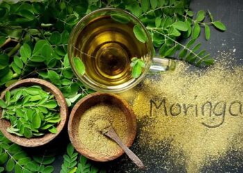 uống bột chùm ngây có tác dụng gì