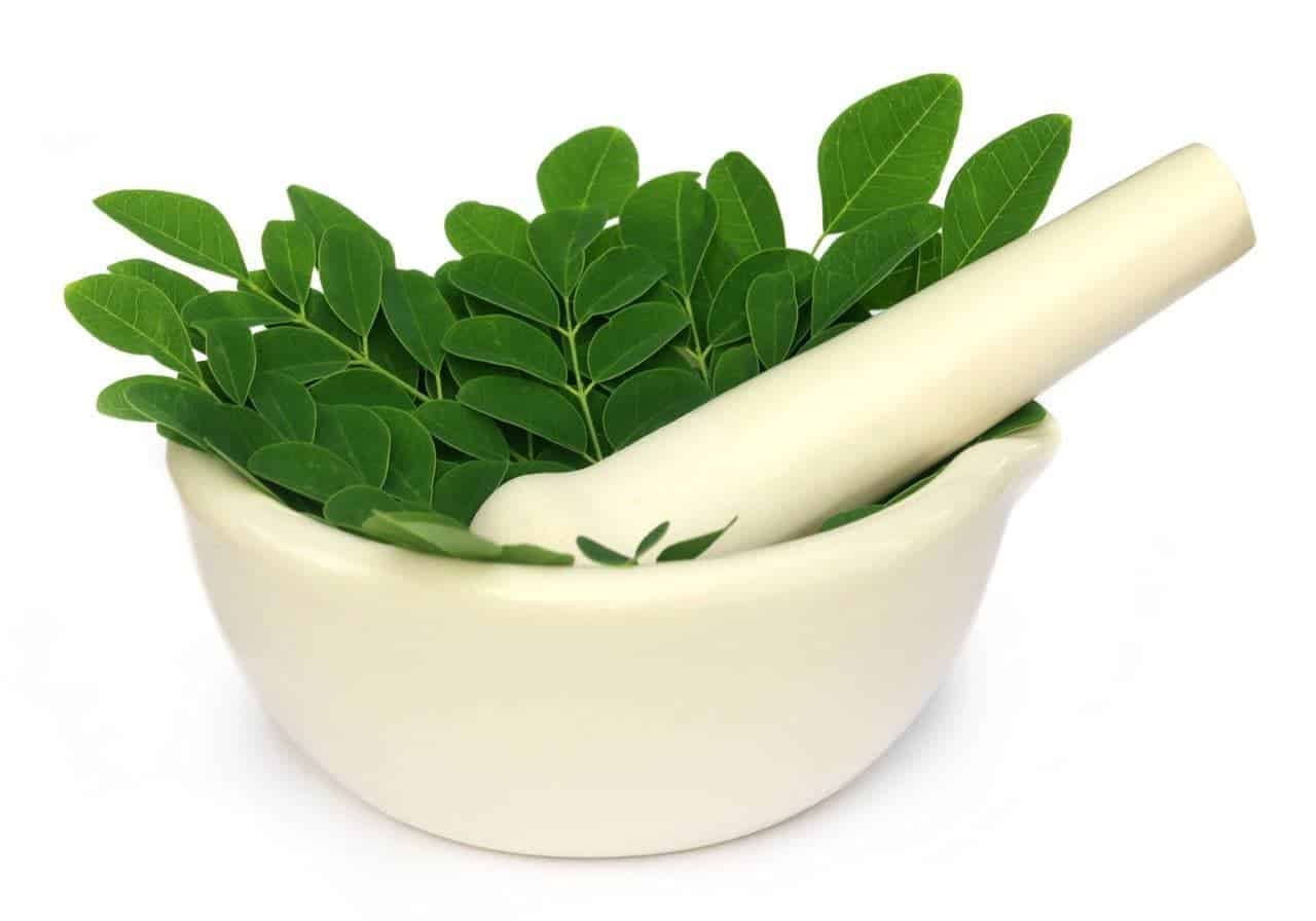 Uống Bột Chùm Ngây Có Tác Dụng Gì? 