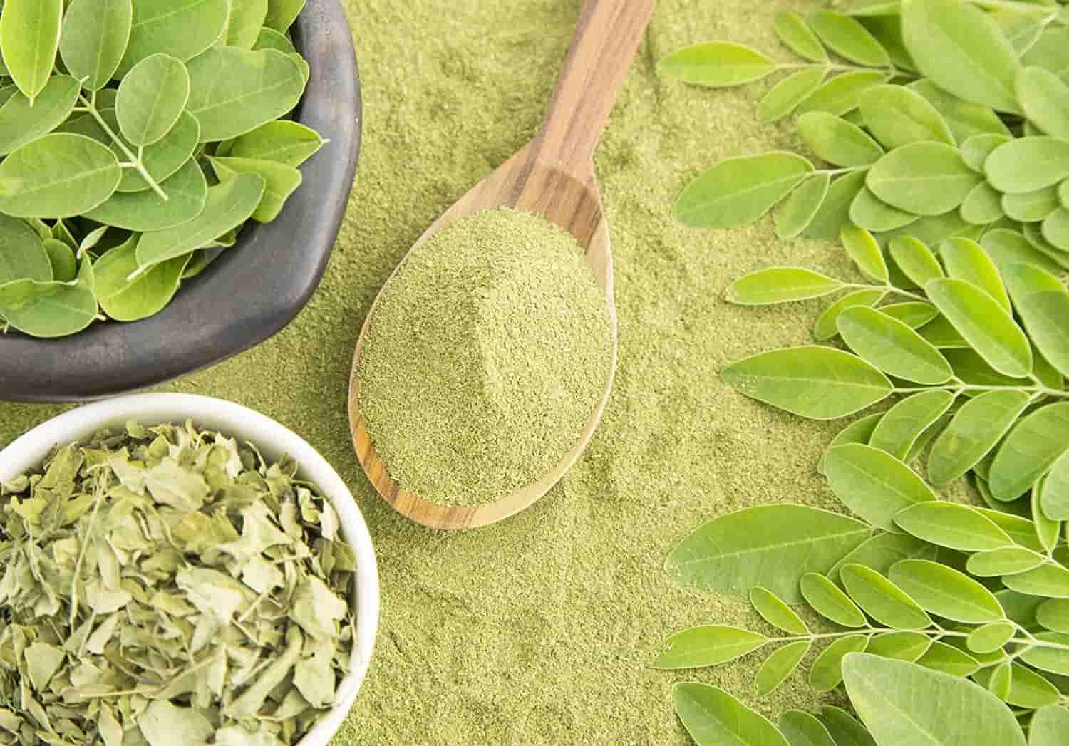 Bột Chùm Ngây Có Tác Dụng Gì