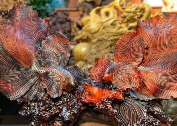 Đồ gỗ Tiền Giang