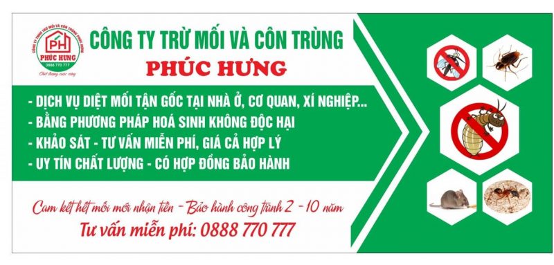 diệt mối tại quảng nam diệt mối quảng nam