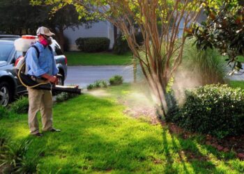 diệt mối tại quảng nam