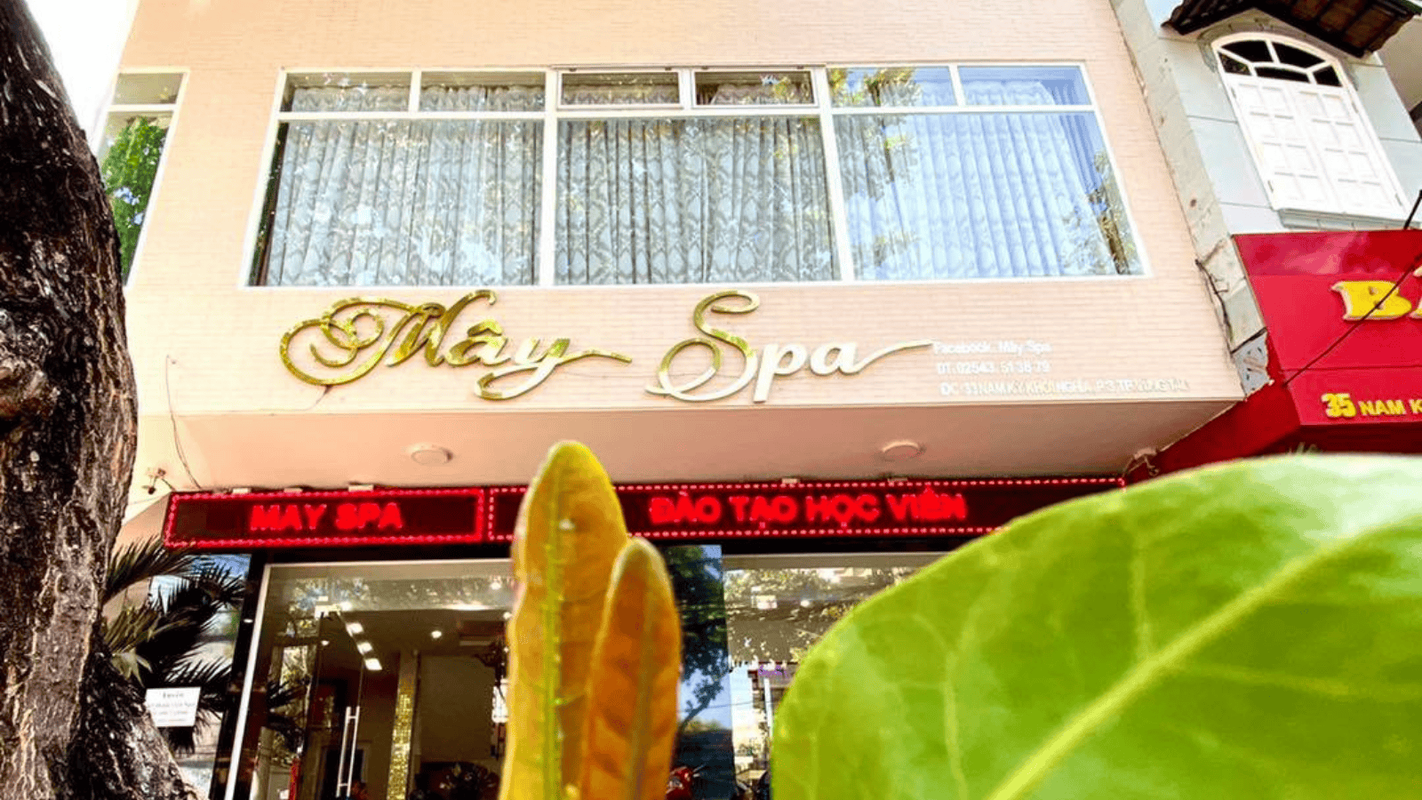 Mây Spa 