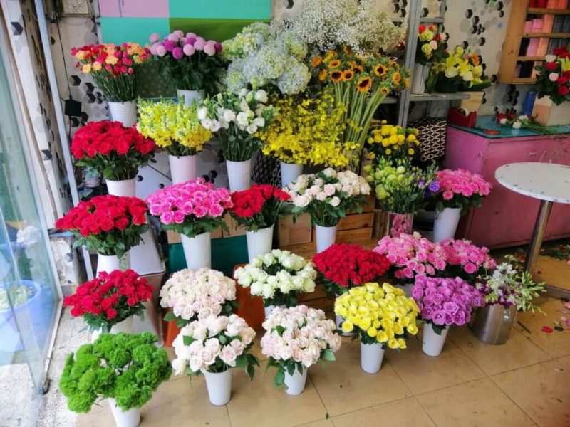 hoa tươi Bạc Liêu hoa tươi Bạc Liêu
