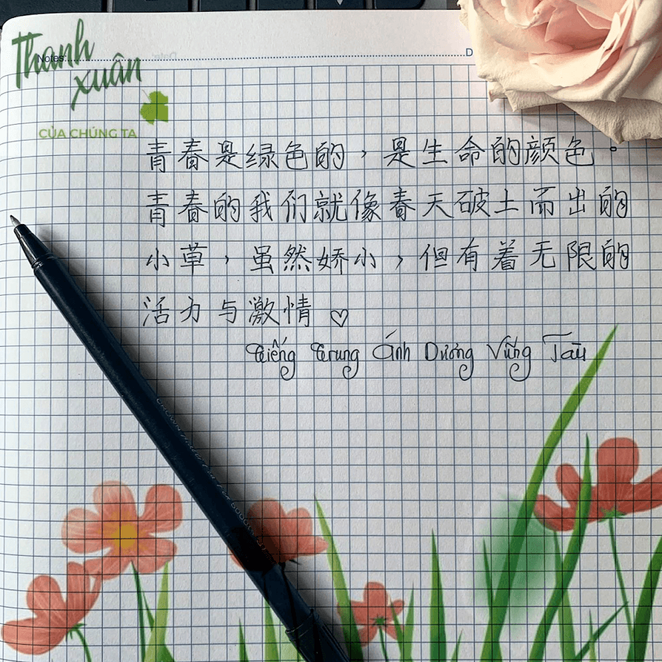 học tiếng trung vũng tàu học tiếng trung vũng tàu