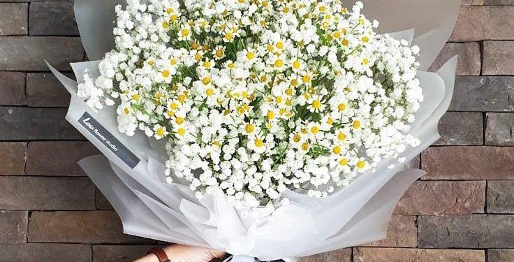 shop hoa tươi Sóc Trăng shop hoa tươi Sóc Trăng