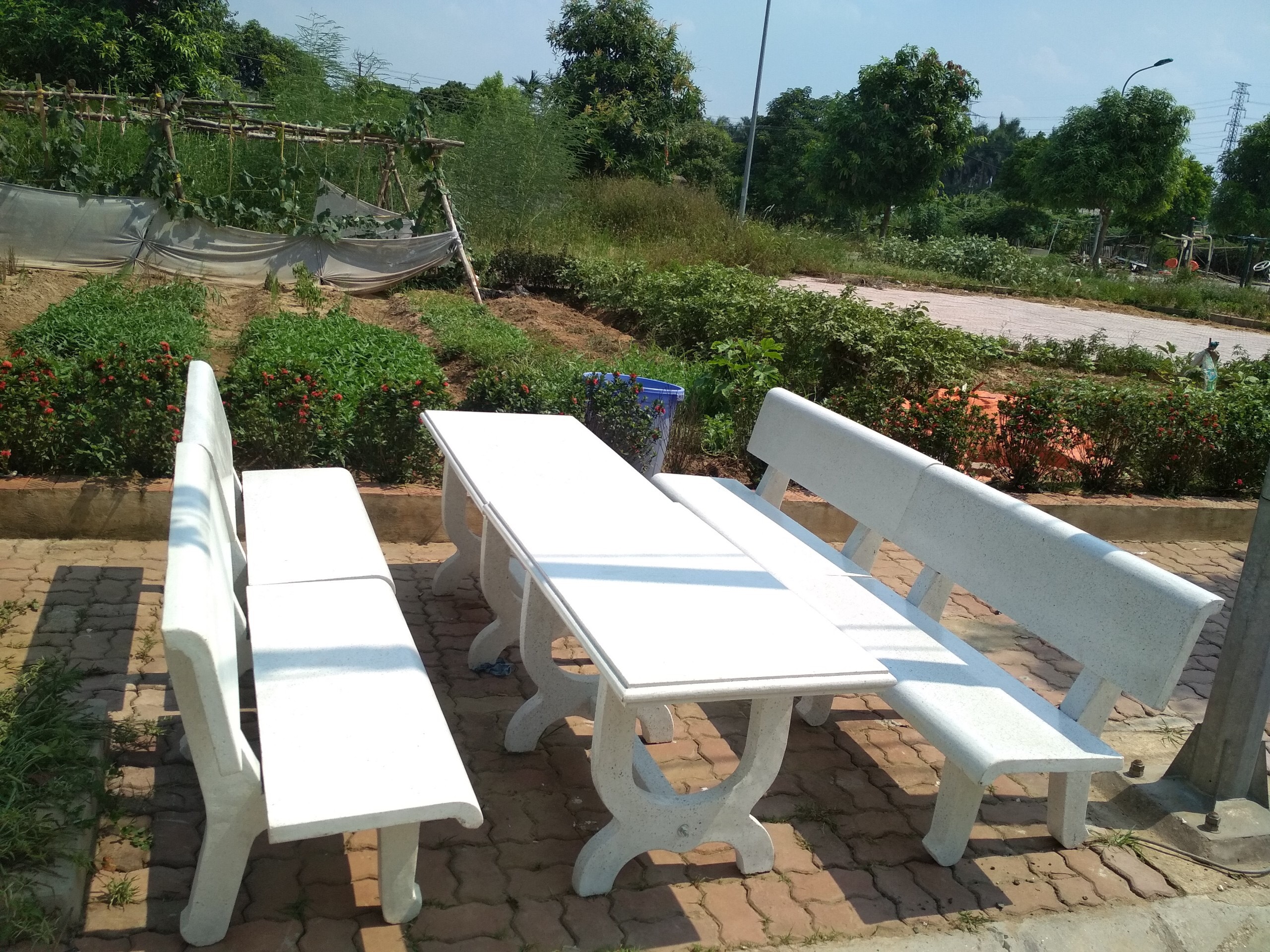 Đá Mỹ Nghệ Đình Thiều