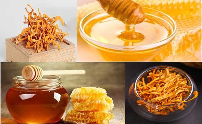 Đông Trùng Hạ Thảo Quảng Nam dịch vụ
