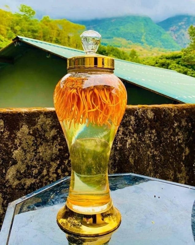 dịch vụ