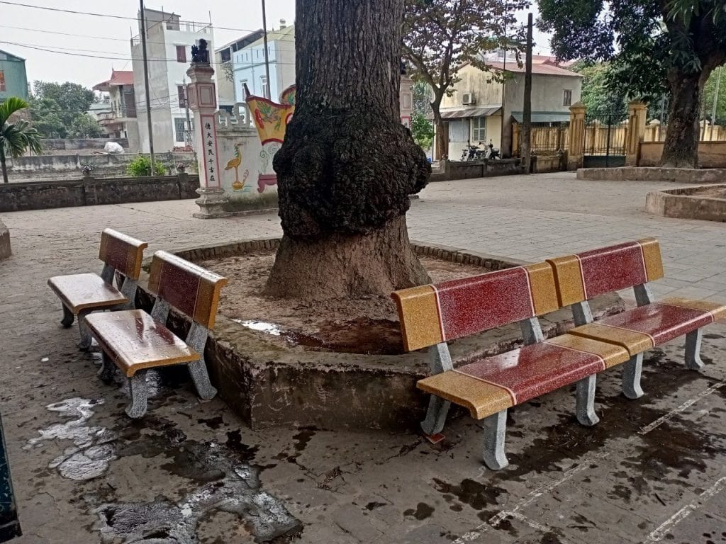 ghế đá công viên nam định Thành Mỹ