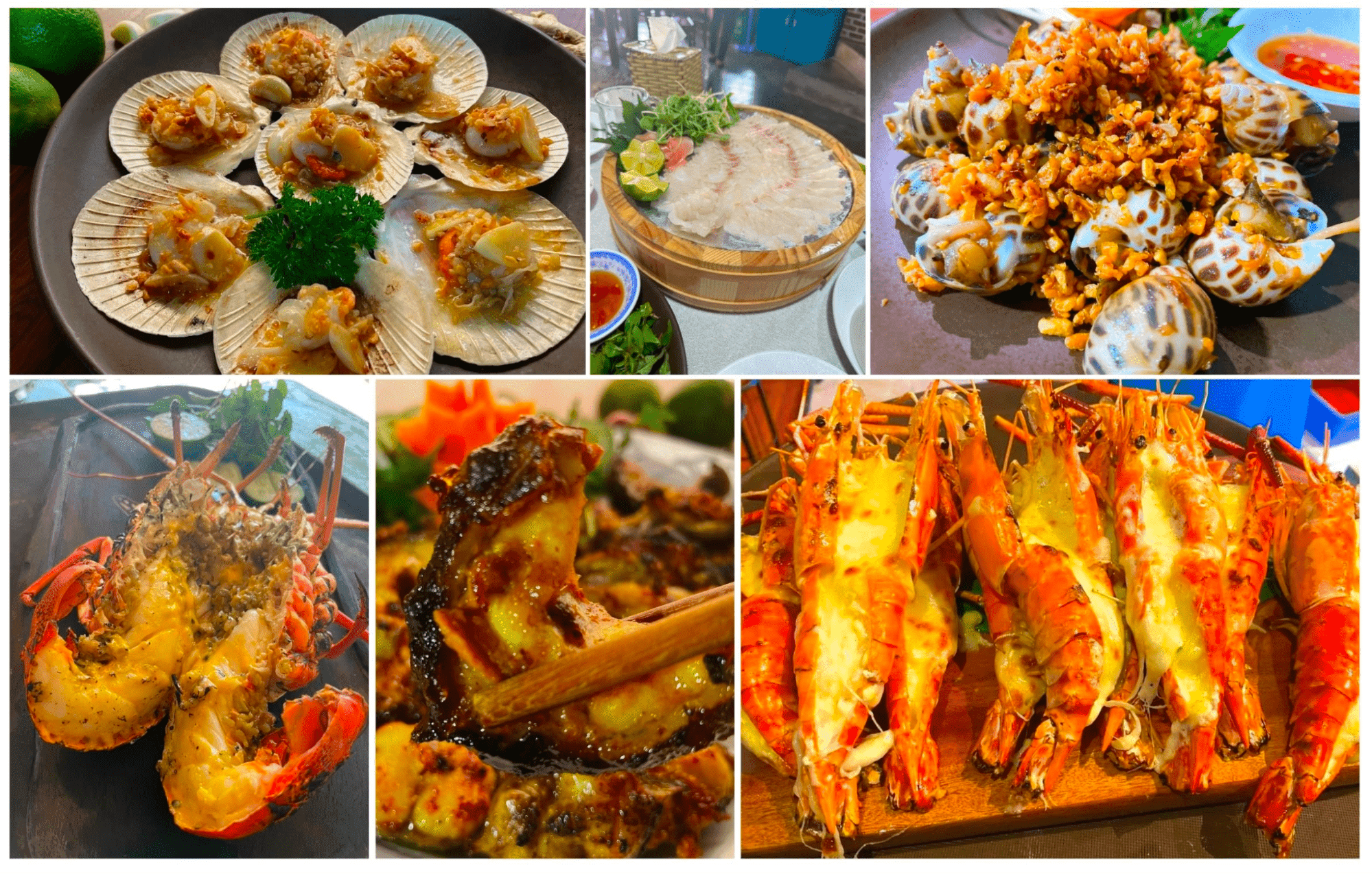 Nhà Hàng Cánh Buồm Trắng