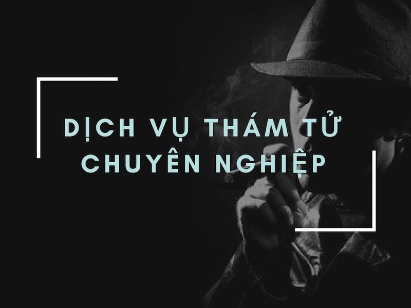 thám tử bình định thám tử bình định