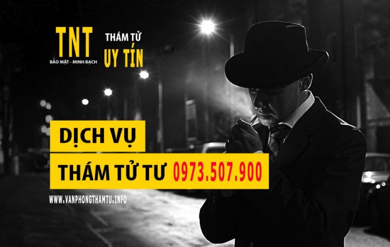 thám tử bình định thám tử bình định