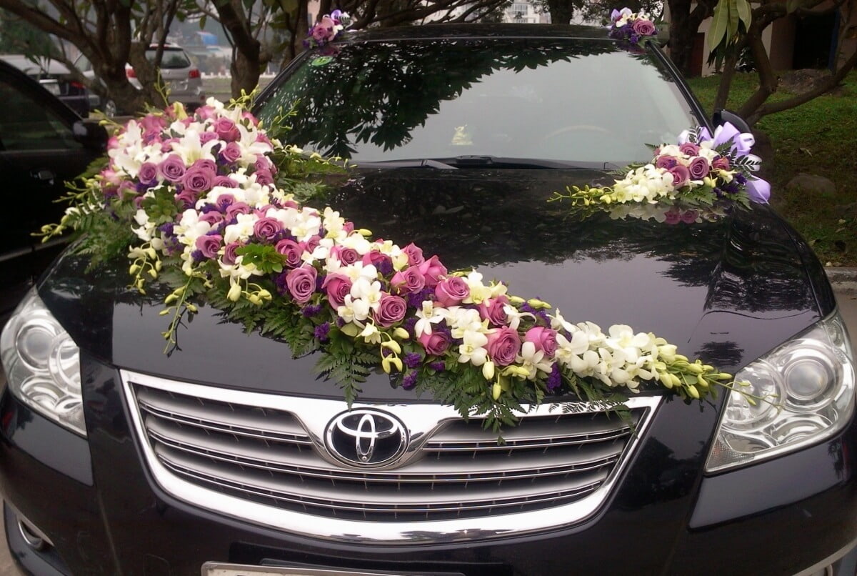Du Lịch Khám Phá Huế