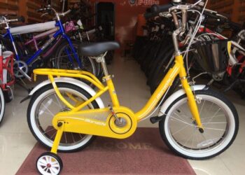 xe-dap-tre-em-cu-ha-noi