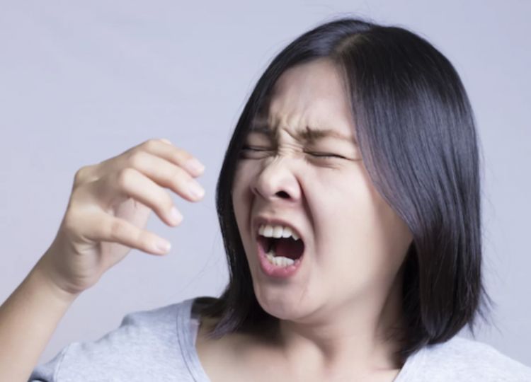 hắt xì hơi theo giờ nhảy mũi theo giờ