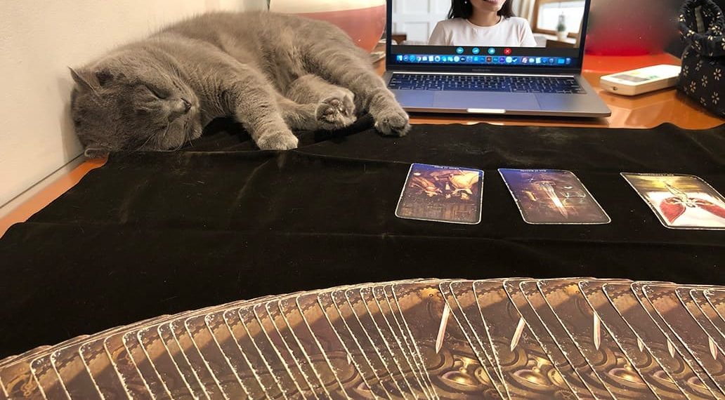 xem tarot hà nội X-Tarot
