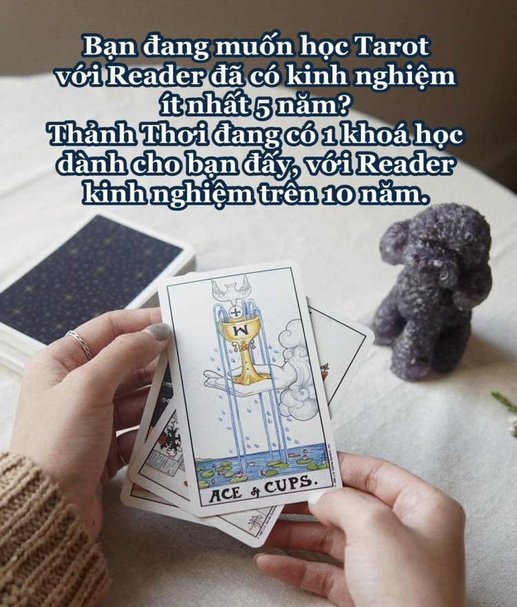 xem tarot hà nội