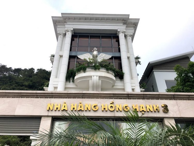hồng hạnh 3