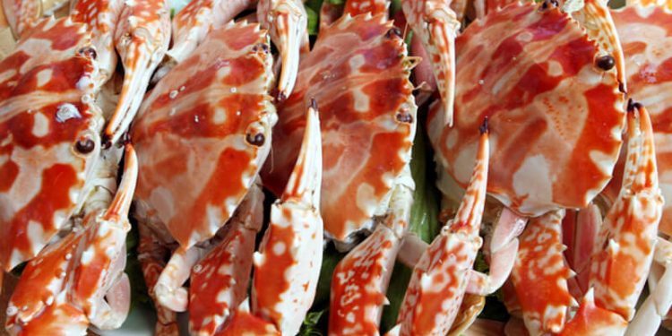 Nhà Hàng Hồng Hạnh 3