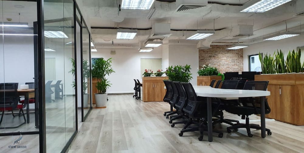 thiết kế thi công nội thất văn phòng quy nhơn Công Ty Nội Thất Palm Decor