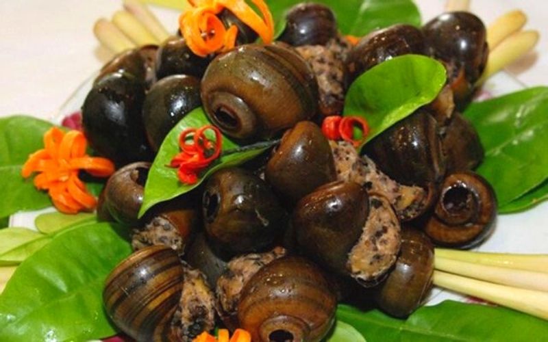 quán ốc ngon vũng tàu