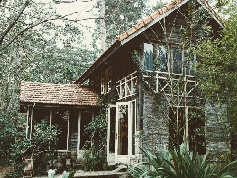 Thi công nhà gỗ homestay