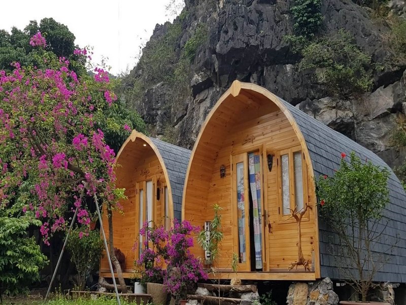 Thi công nhà gỗ homestay