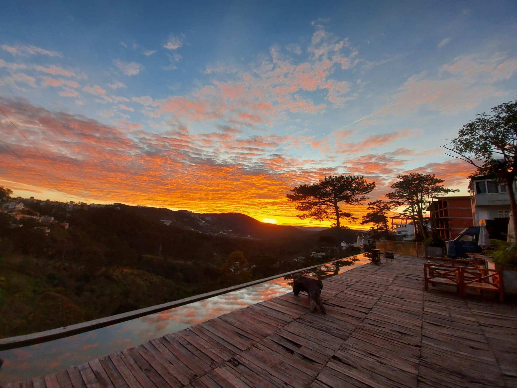 Dalat Mountain View