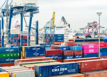 TOP 10 Dịch Vụ Khai Báo Hải Quan Tại TPHCM Chất Lượng Nhất