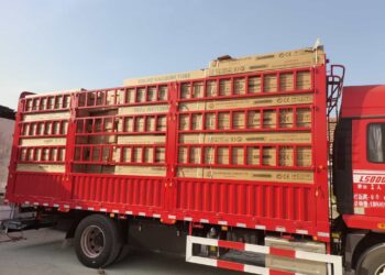 gửi hàng đi Hàn Quốc tại TPHCM