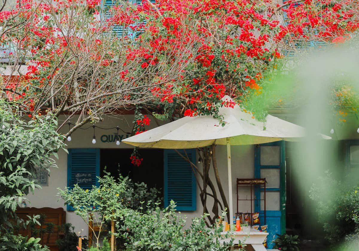 Mama’s House Hostel