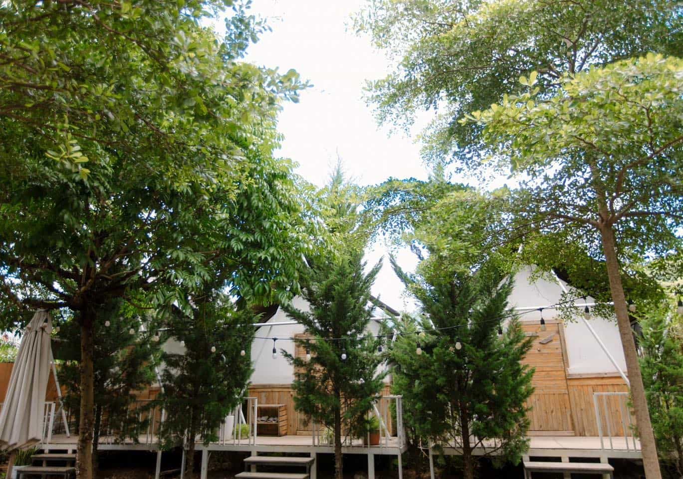 Homestay ở Mộc Châu