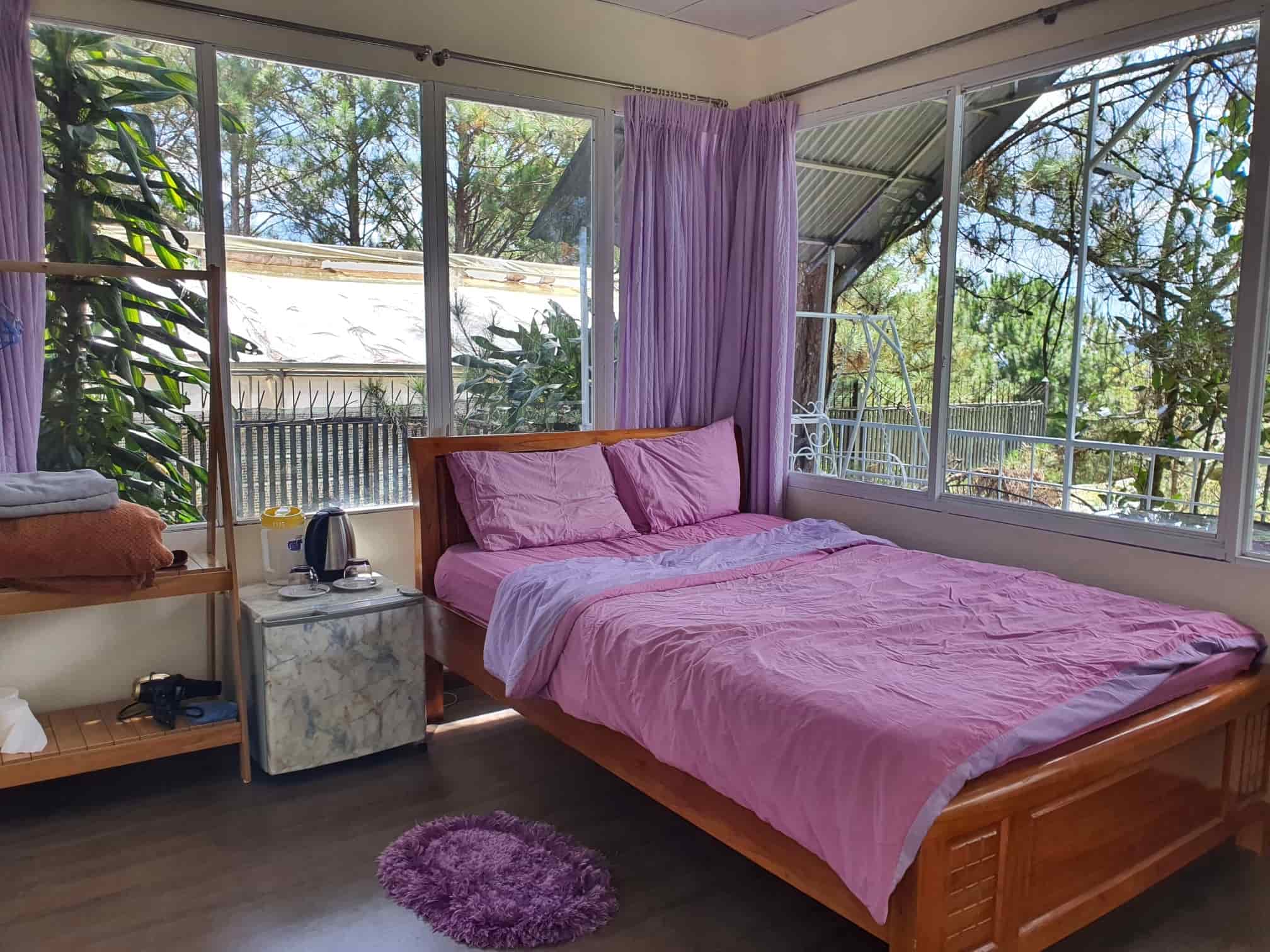 Pine Hill Homestay